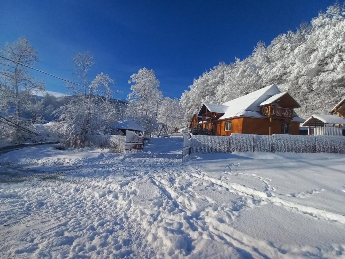 Cottage V Gorakh イズキ エクステリア 写真
