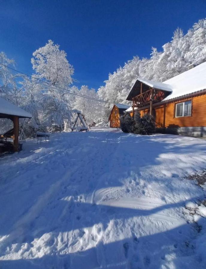 Cottage V Gorakh イズキ エクステリア 写真